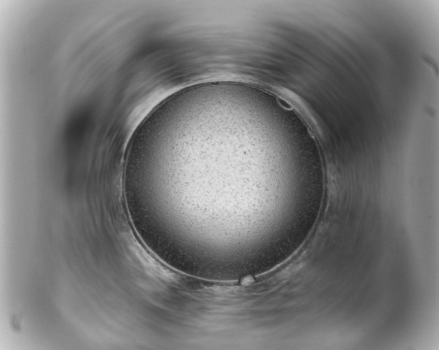 X0000100911244200807011236