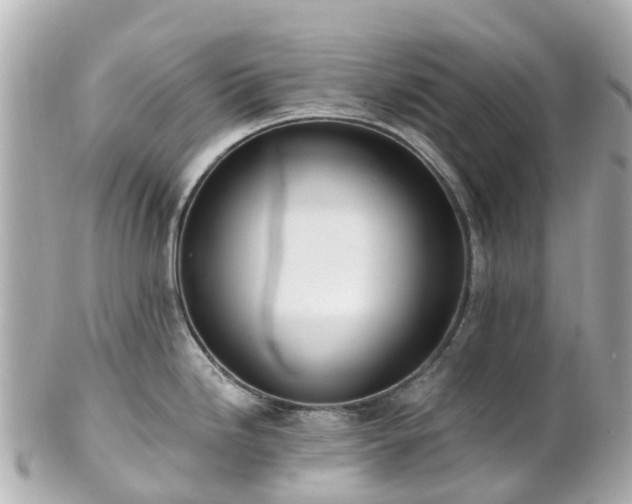 X0000100911246200807011236