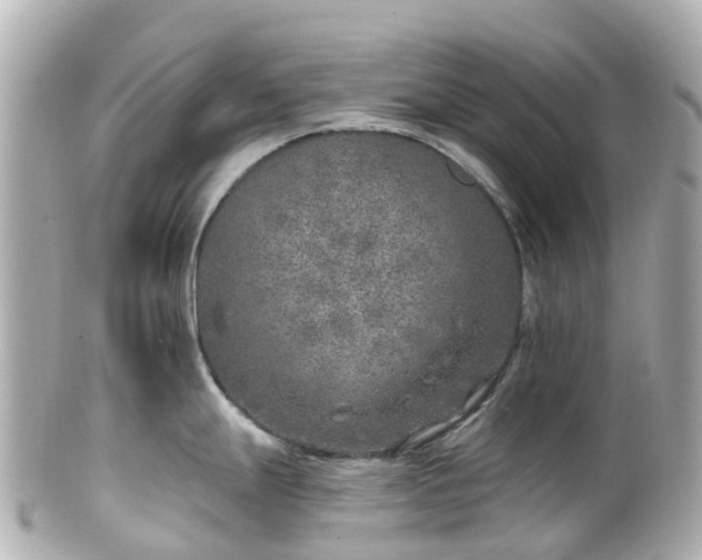 X0000100911247200807011236