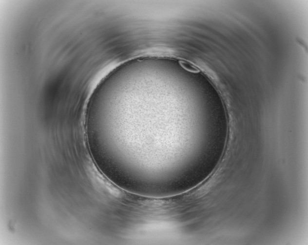 X0000100911248200807011236