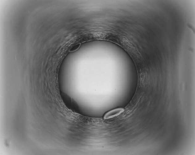 X0000100911249200807011235
