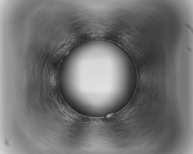 X0000100911250200807011235