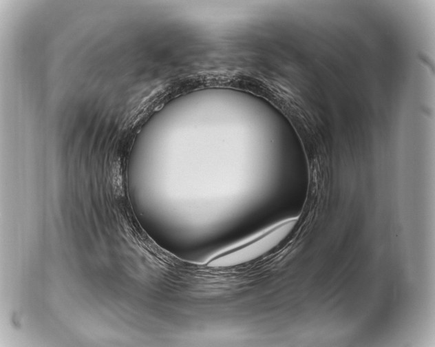 X0000100911252200807011235