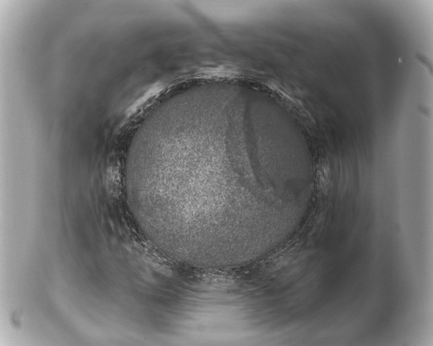 X0000100911254200807011235