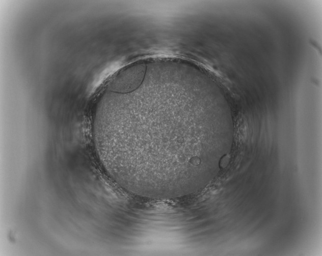 X0000100911255200807011235