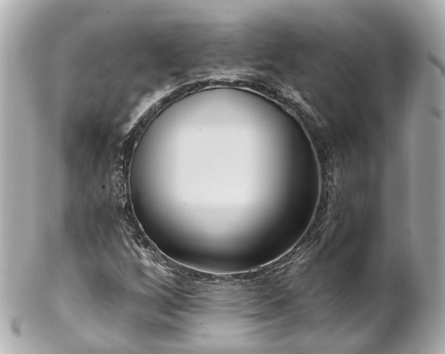 X0000100911256200807011235