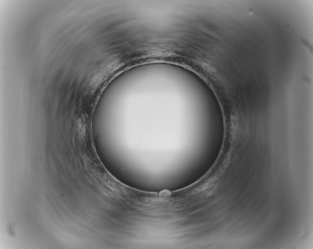 X0000100911257200807011235