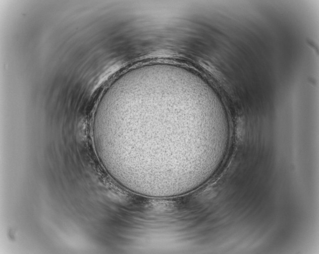 X0000100911258200807011235