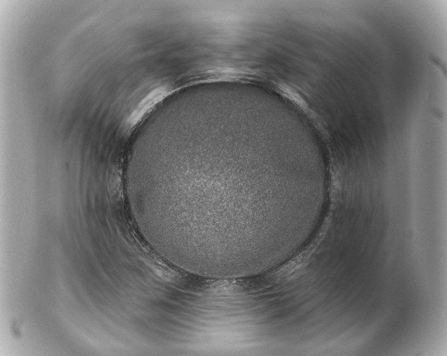 X0000100911259200807011235