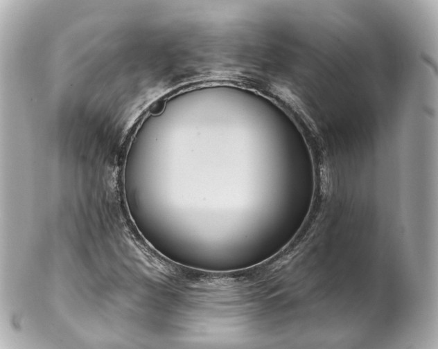 X0000100911260200807011235