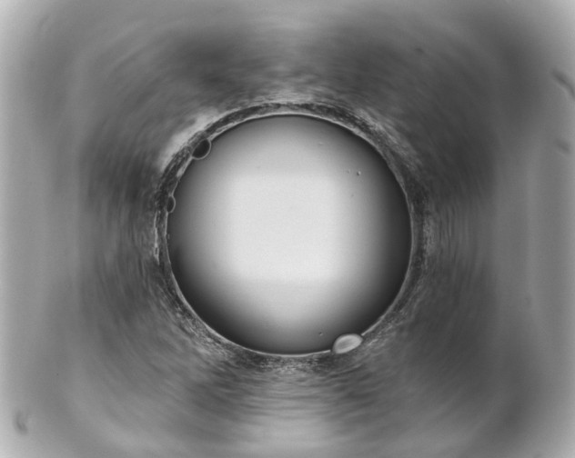 X0000100911262200807011235