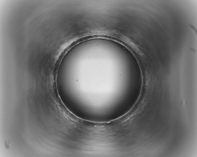 X0000100911264200807011235