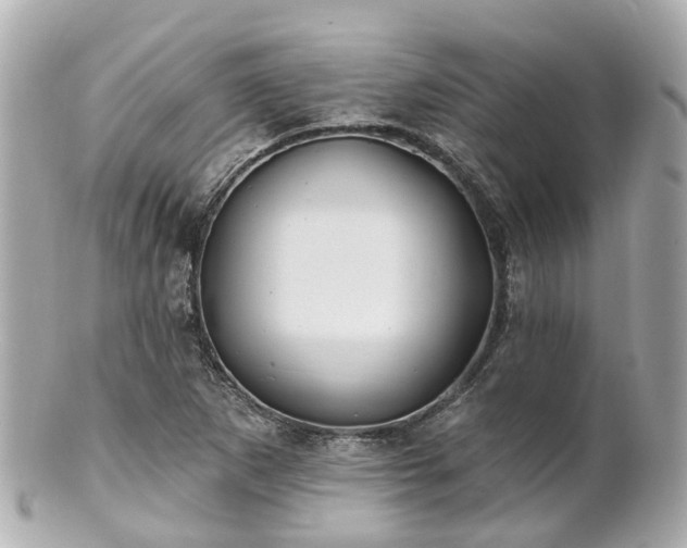 X0000100911265200807011235