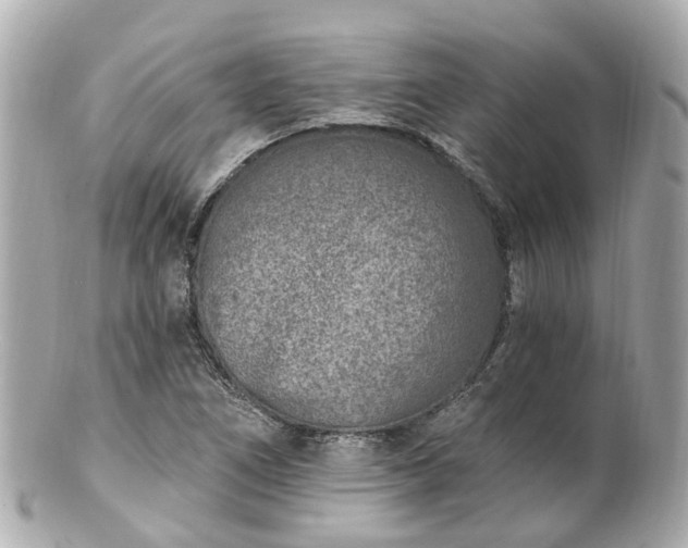 X0000100911266200807011235