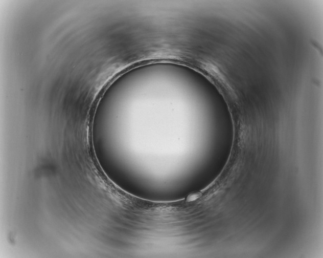 X0000100911268200807011235