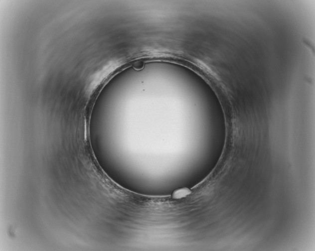 X0000100911269200807011235
