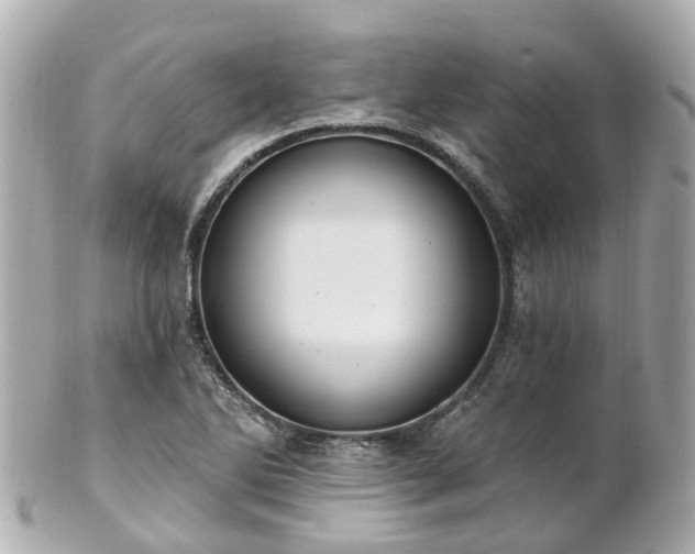 X0000100911270200807011235