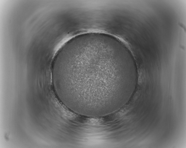 X0000100911271200807011235