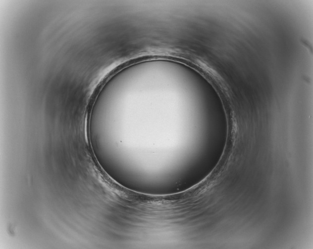 X0000100911272200807011235