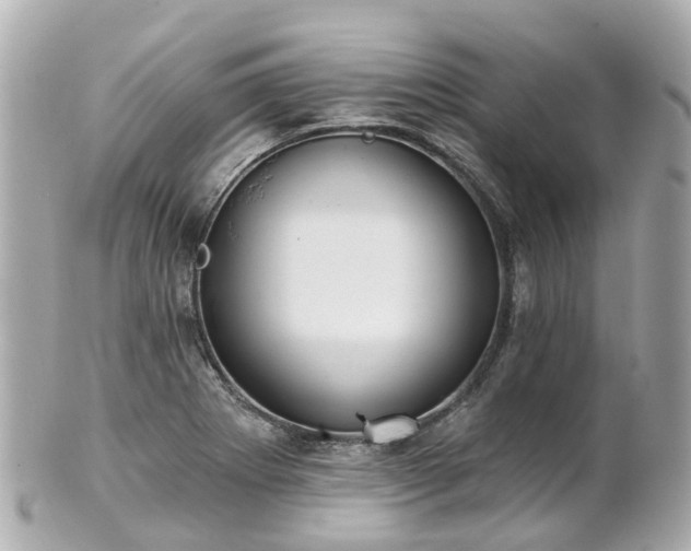 X0000100911273200807011235