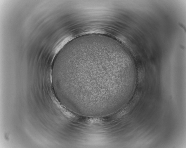 X0000100911274200807011235
