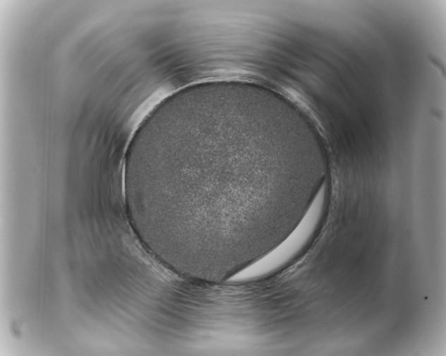 X0000100911275200807011235