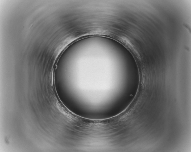 X0000100911276200807011235