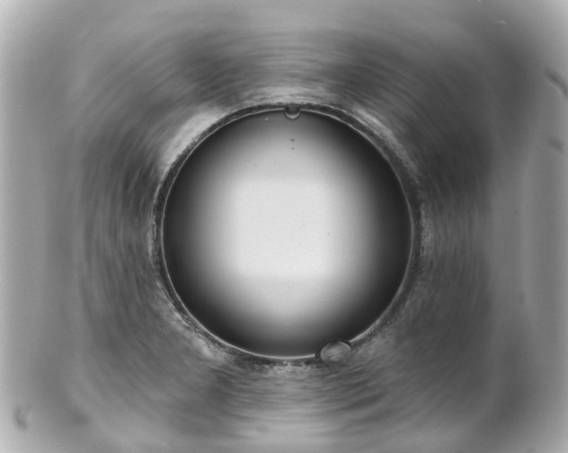 X0000100911277200807011235