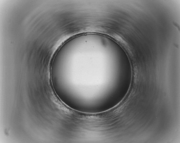 X0000100911280200807011235
