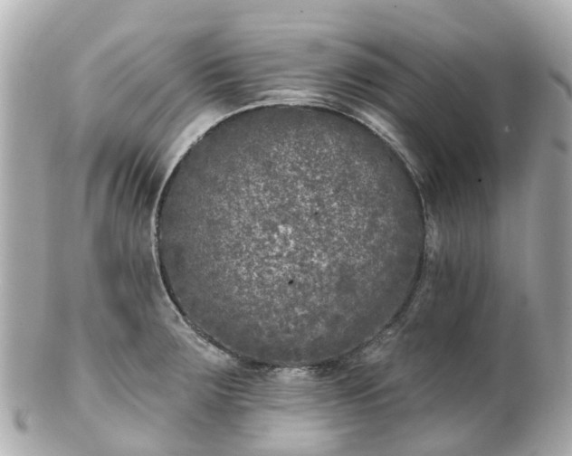 X0000100911283200807011235