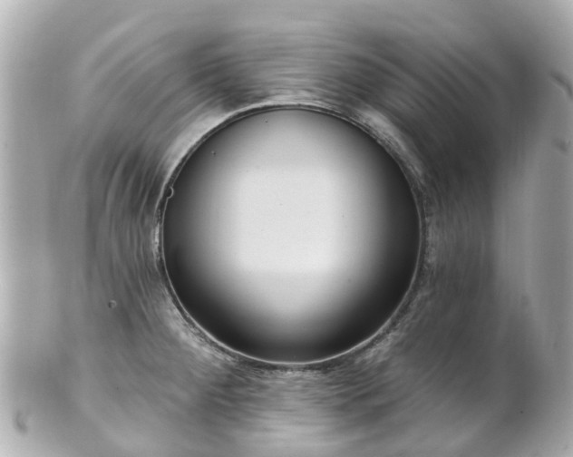 X0000100911284200807011235