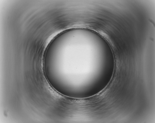 X0000100911288200807011235