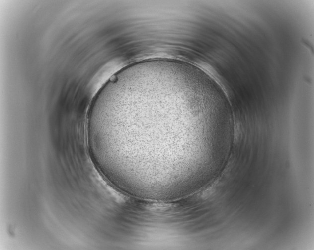 X0000100911290200807011235