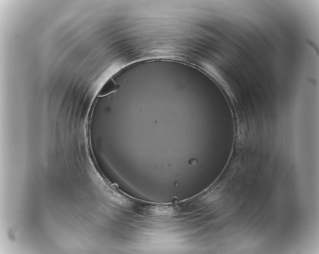 X0000100911291200807011235