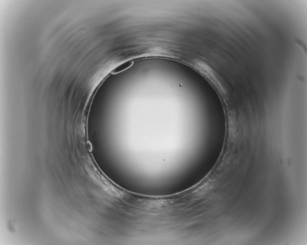 X0000100911292200807011235
