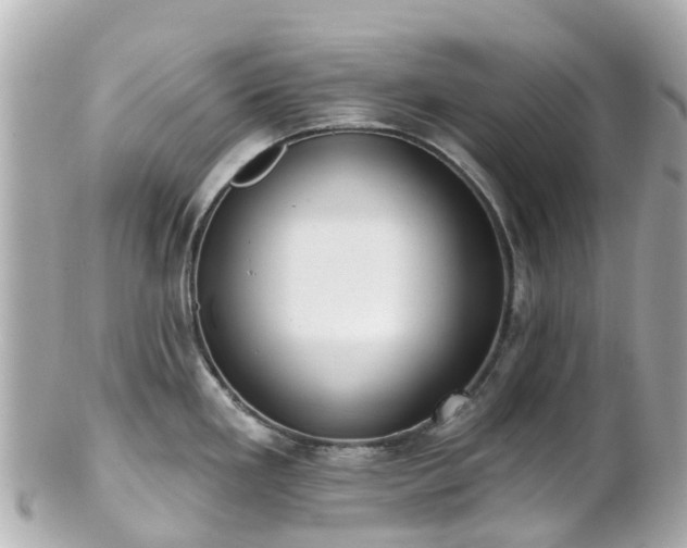 X0000100911293200807011235