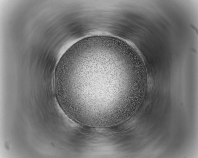 X0000100911295200807011235