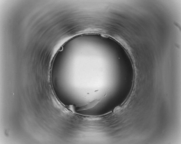 X0000100911296200807011235