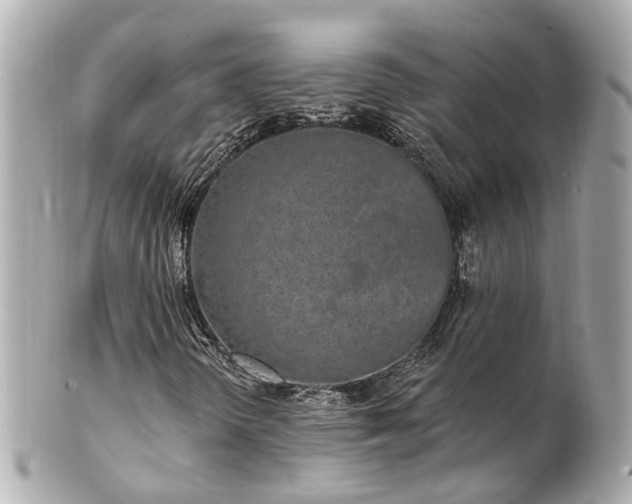 X0000100911298200807011234
