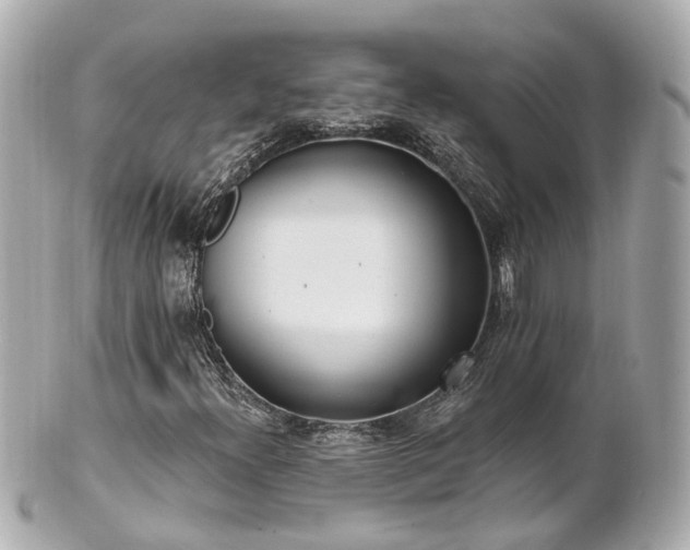 X0000100911300200807011234