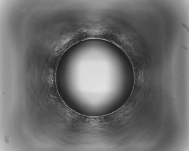 X0000100911301200807011234
