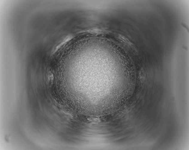 X0000100911302200807011234