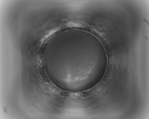 X0000100911303200807011234