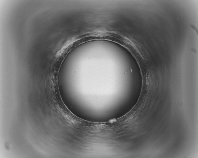 X0000100911304200807011234