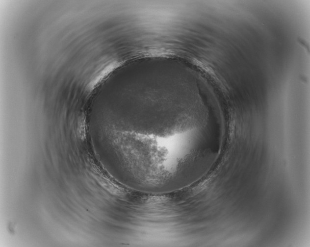 X0000100911306200807011234