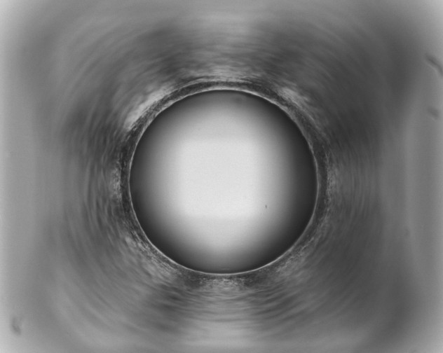 X0000100911307200807011234