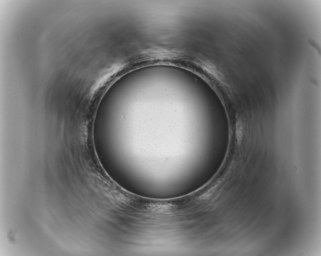 X0000100911309200807011234
