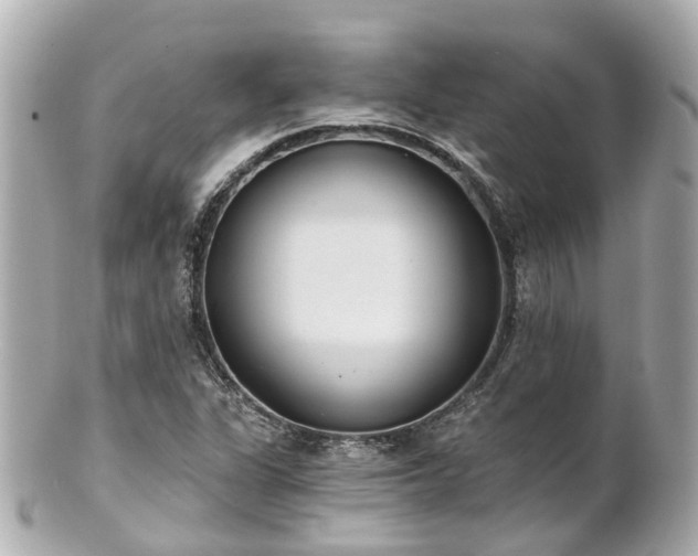 X0000100911311200807011234
