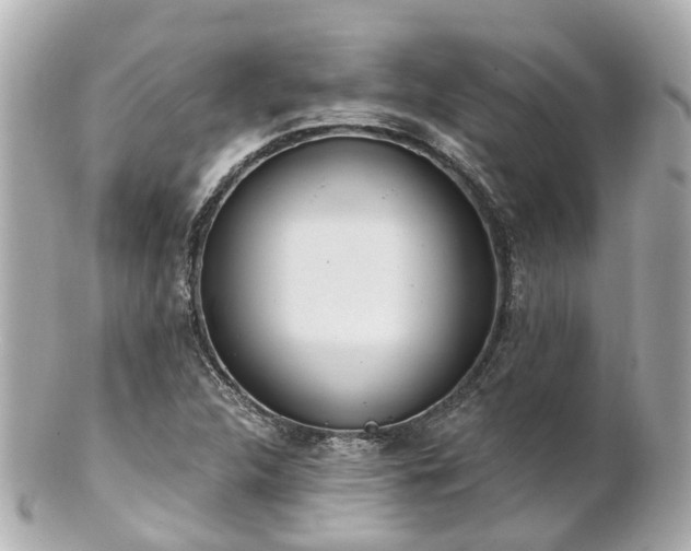 X0000100911312200807011234