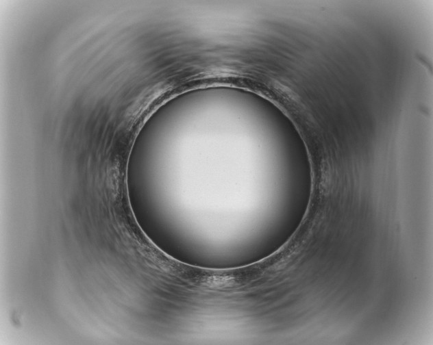 X0000100911313200807011234